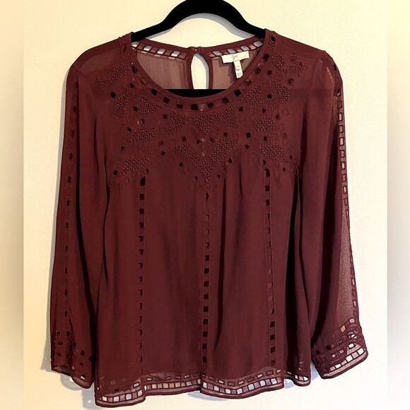 Joie Gaiane sheer chiffon embroidered top in Raisin - Picture 9 of 13